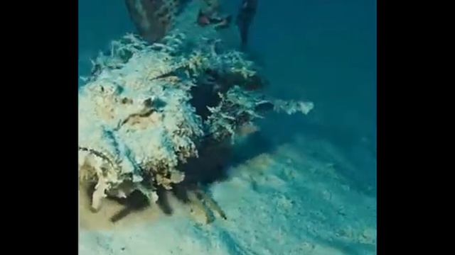 Я — Водяной, я — Водяной! Никто не водится со мной смотреть онлайн