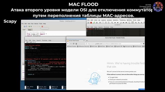 Атаки сетевого уровня  - DDOS