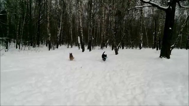 Хердер и но смотреть онлайн