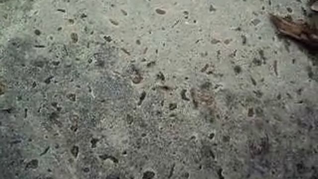 Hive war. смотреть онлайн