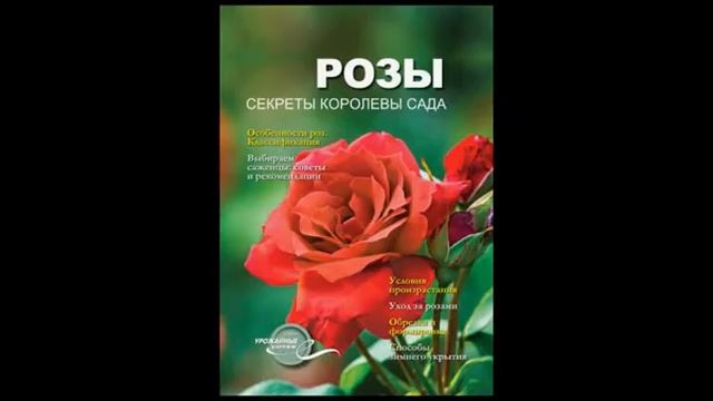 Урожайные сотки №09 - 2020 смотреть онлайн