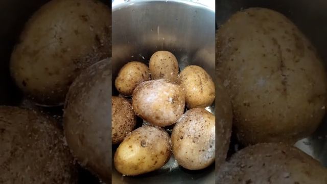 ХАМСА соленая с картошкой и солениями. #Shorts смотреть онлайн