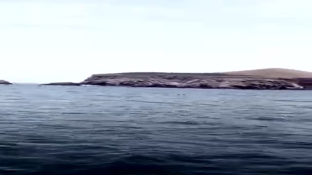 Paracas ,Peru National island Park Reserve смотреть онлайн
