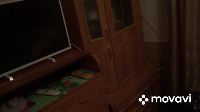 Проращиваем пшеницу для кур/подарок Маме смотреть онлайн