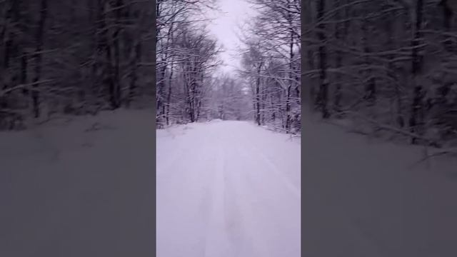 Отшагивание лошади смотреть онлайн