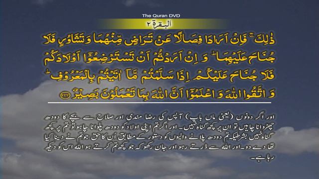 Surah-2 Al baqarah Ayat No 232-235 Ruku No 30 Word by word learning Quran in video in 4K смотреть онлайн