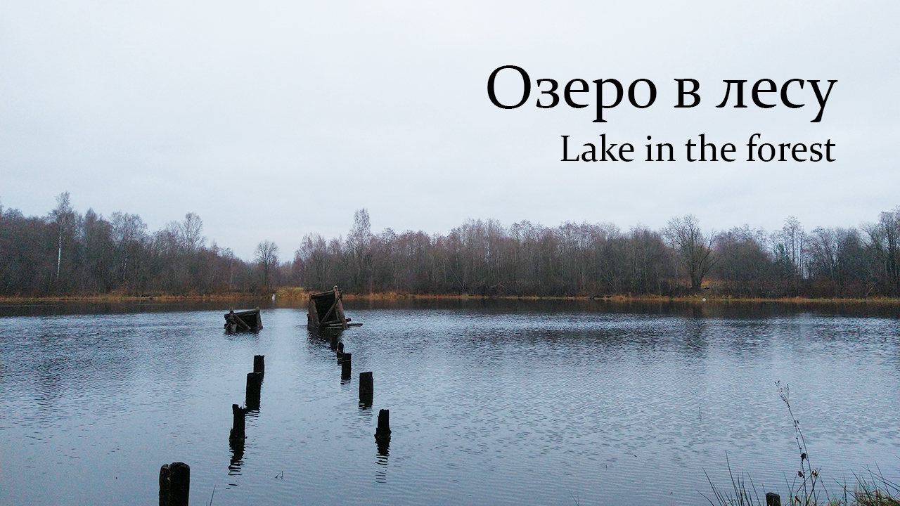 Поход выходного дня в окрестностях Питера. Озеро Школьное (Токсово).