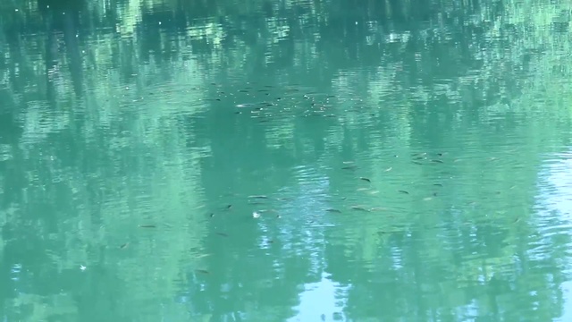 ВОТ И ЛЕТО ПРОШЛО. До свидания, ЛЕТО! смотреть онлайн