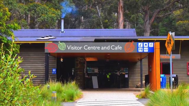 🚗 Top 5 Day Trips from Hobart ~ Discover Tasmania смотреть онлайн