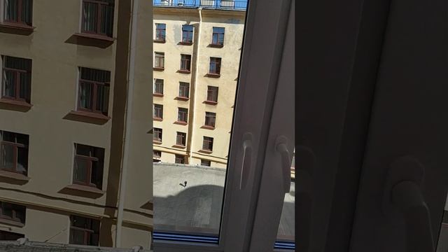 Гостиница Октябрьская Санкт-петербург-отель рядом с Московским вокзалом смотреть онлайн
