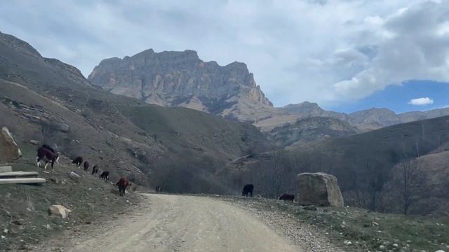 Самая высокая гора России / Баксанское ущелье / Озеро Сылтран-кель / Чегемский водопад / Терскол смотреть онлайн