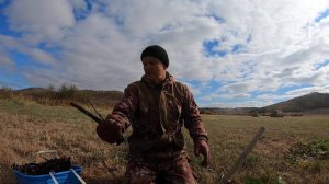 Окопник лекарственный. Назначение. Применение. Лучшие рецепты.