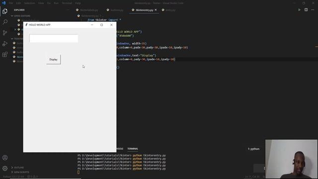 Entry Widgets (Python GUI) in Shona смотреть онлайн