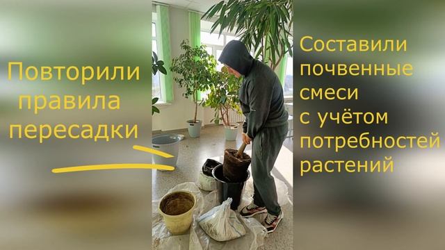 Сажаем цветы в кабинете биологии смотреть онлайн