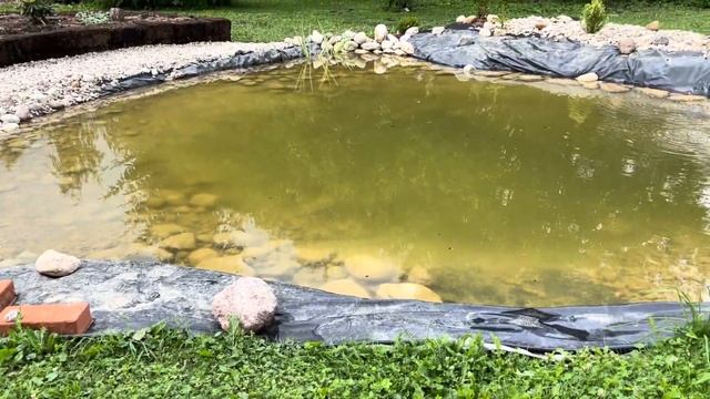 08.07.2023 Виды сада после дождя. Средиземноморский сад. Кроты портят новые клумбы... смотреть онлайн