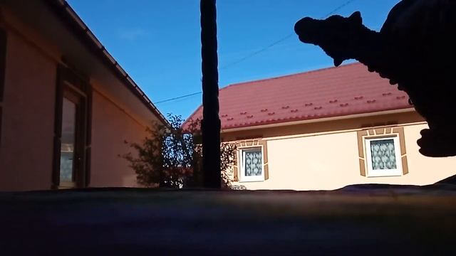 2 часть дракон против динозавра 1 часть канал про Макс смотреть онлайн