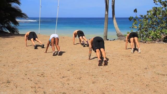 Animal Flow: Pura Vida Flow! смотреть онлайн