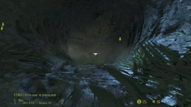 Mixed Species Team Deathmatch, Alien Gameplay - Multiplayer, Aliens vs Predator 2010 смотреть онлайн