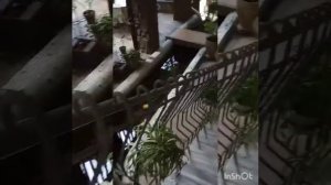 Алушта пансионат Рай (советую) Очень интересно.💖💖💖💖💖💖