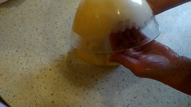 Шоу и Концерты