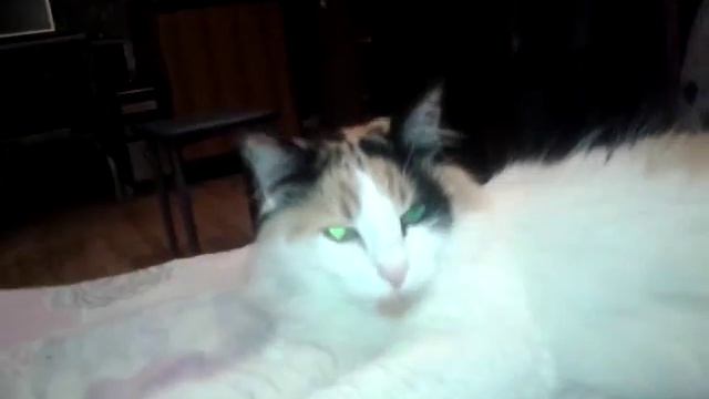 Рагамаффин ragamuffin смотреть онлайн