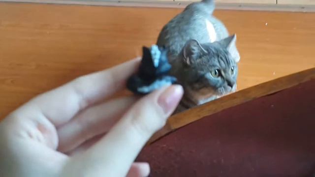 КИСА КЕЙПЕР смотреть онлайн
