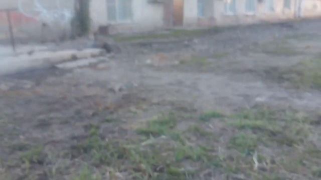 А из наших труб идёт необычный дым... смотреть онлайн