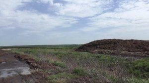 Crow Hunting 2021.  Майский Ассорти 2.  Гнезда и Покос.  Кроухантинг. Джек Хантер.