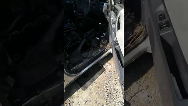 Эстима часть 6 смотреть онлайн