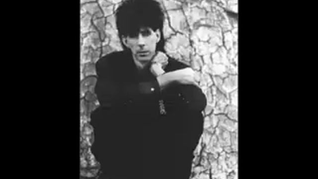 Ric Ocasek - This Side Of Paradise(1986) смотреть онлайн