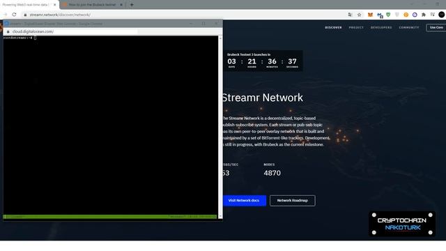 Streamr (Brubeck) Testnet-3 Sıfırdan Node Kurulumu ve Update ? смотреть онлайн