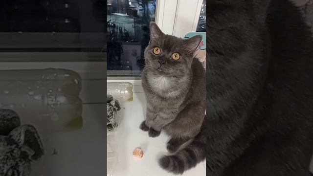 Загадки любви и страсти