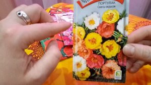 Цветы без рассады! Посейте эти цветы сразу в грунт. Обзор семян цветов!