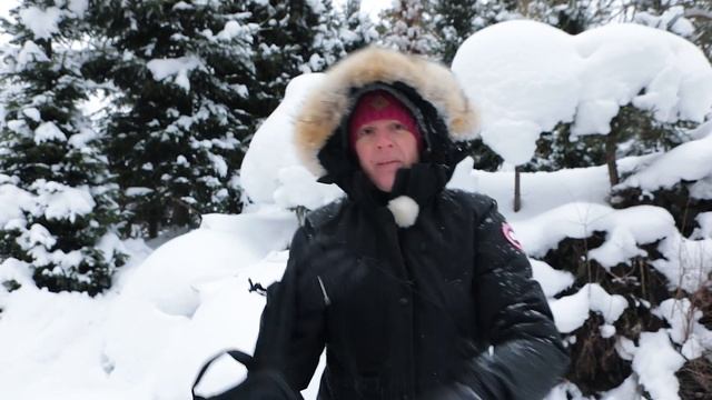 Съёмка зимой в пасмурную погоду. Фотокухня Анны Масловой. Выпуск №72 смотреть онлайн