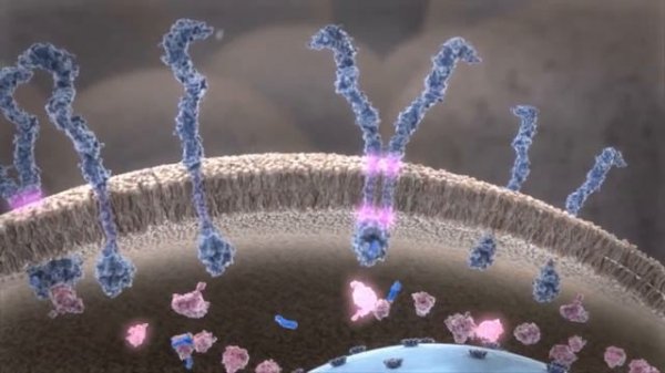 GLEEVEC (IMATINIB) MOA ANIMATION