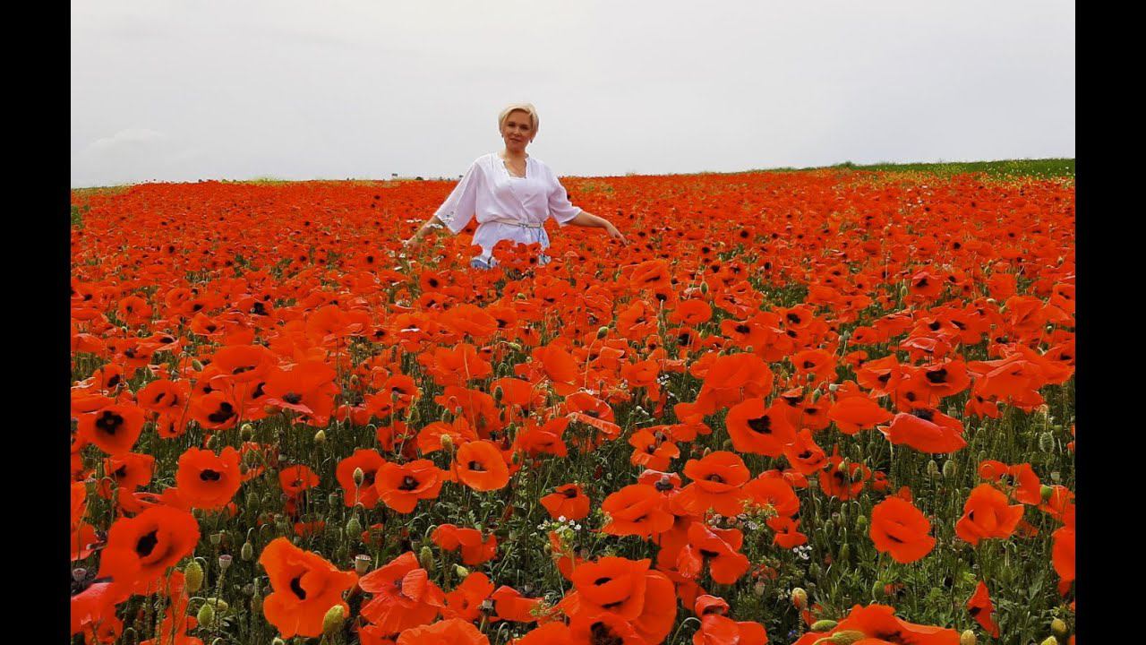 Поездка на маковое поле смотреть онлайн