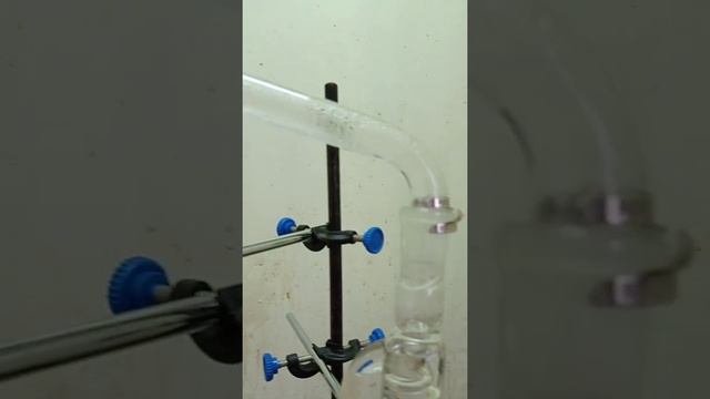 Процесс перегонки эфирного масла с водяным паром (без комментариев). Описание установки ниже▼▼▼ смотреть онлайн