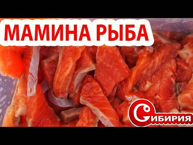 ЗНАМЕНИТАЯ МАМИНА РЫБА! ЗАПРЕЩЕННАЯ ЕДА НА РЫБАЛКЕ ИЗ  КРАСНОЙ РЫБКИ! Рецепты Андрей СИБИРИЯ