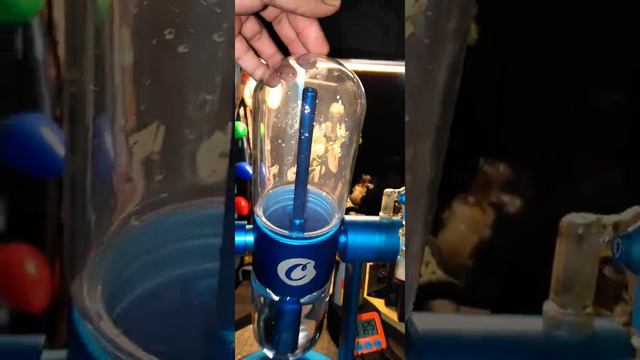 I Dabbed from my gravity bong!! смотреть онлайн
