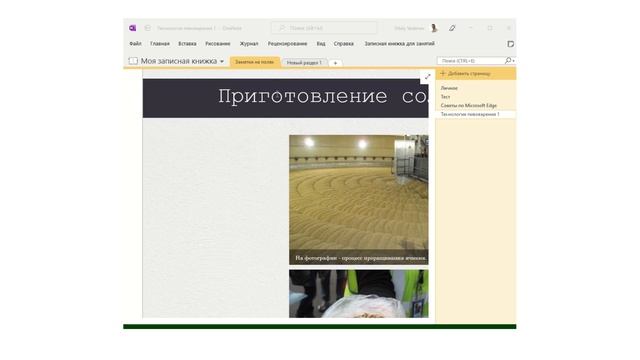 Надстройка Записная книжка OneNote для занятий смотреть онлайн