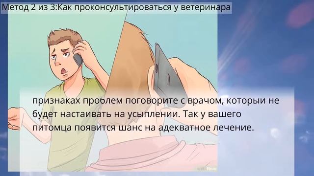 Как понять, что пришло время усыпить кошку смотреть онлайн