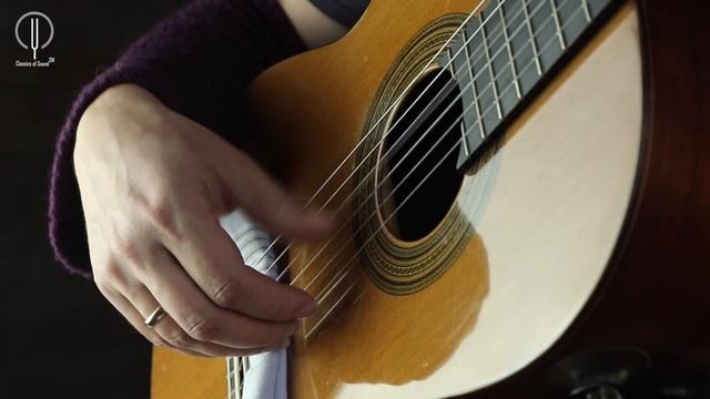 Техника пальца "Р" в условиях классической постановки правой руки. [Дмитрий Нилов] смотреть онлайн