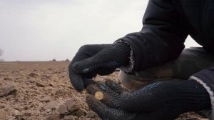 Поиск монет с металлоискателем Minelab Vanquish 340.