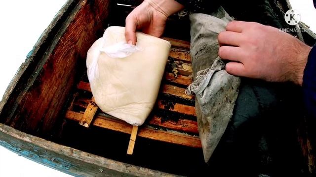 Первая подкормка слабых отводков в декабре 2021 г. Главное не опоздать!!! смотреть онлайн