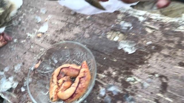 Качество жизни в Турции / Солим икру / Турция 2023 смотреть онлайн