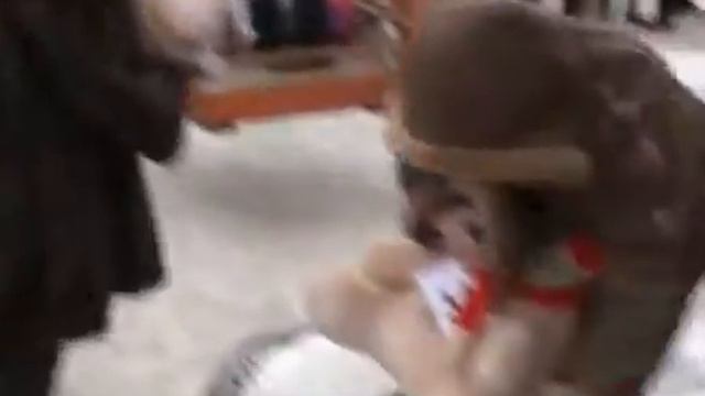 МАСЛЕНИЦА В НОВОПОЛОЦКЕ смотреть онлайн