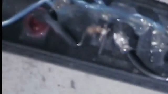 ремонт плойки для волос