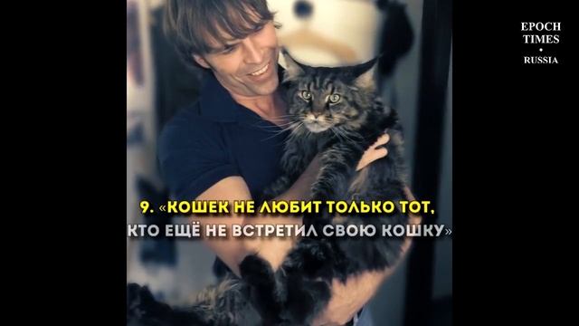 15 афоризмов о кошках смотреть онлайн