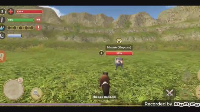 Как быстро прокачатся в игре симулятор белки 2 онлайн. смотреть онлайн