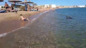 Египет в ноябре. Пляжи Хургады. Холодно ли купаться в Египте в декабре